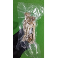 Cogumelos Mágicos Psilocybe Cubensis (Pacote com 1 grama) Desidratados 