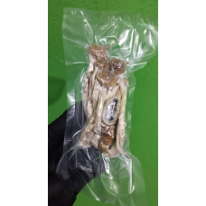Cogumelos Mágicos Psilocybe Cubensis (Pacote com 5 gramas) Desidratados 